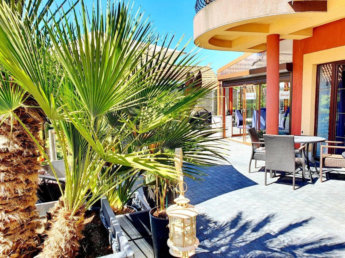 Monika Bed and Breakfast Krynica Morska Εξωτερικό φωτογραφία