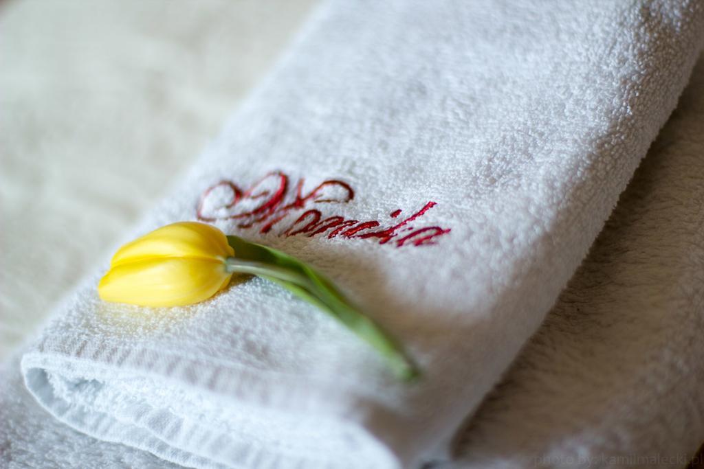 Monika Bed and Breakfast Krynica Morska Εξωτερικό φωτογραφία